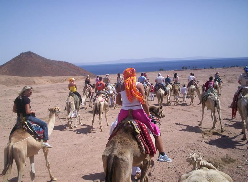 -34% Last Minute Sharm El Sheikh 2026 ᐈ 59 Hoteluri